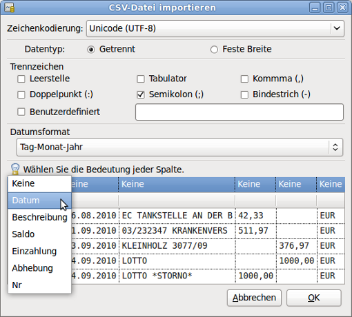 Fenster CSV-Datei importieren - Auswahl der Bedeutung der Spalten